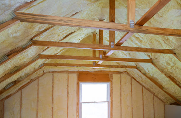 Best Home Insulation Services  in Little Ferry, NJ