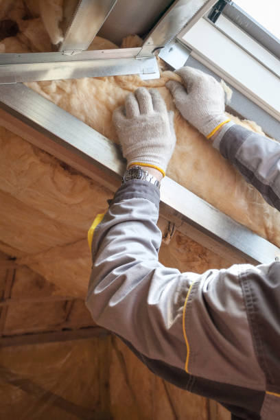 Best Best Insulation Companies  in Little Ferry, NJ